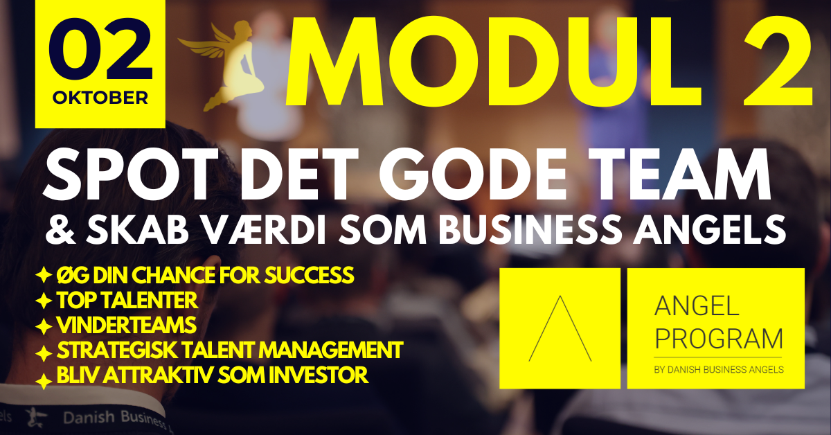 Angel Program Danish Business Angels DanBAN Investor Uddannelse